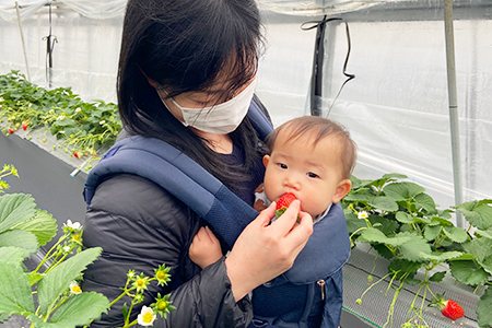 相葉苺園赤ちゃんを抱っこのお客様