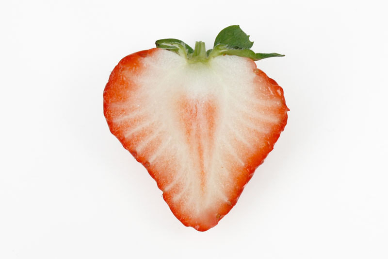 えちごひめ断面