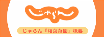 じゃらん「相葉苺園」