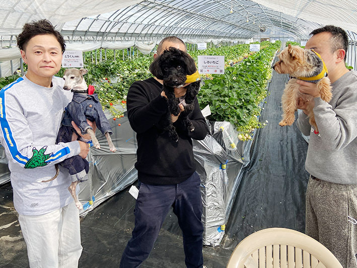 相葉苺園の黒いちごアイスモナカ