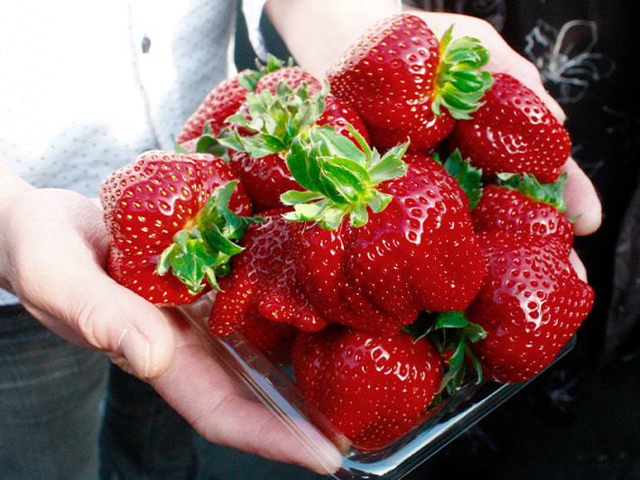 真紅の美鈴（黒苺）