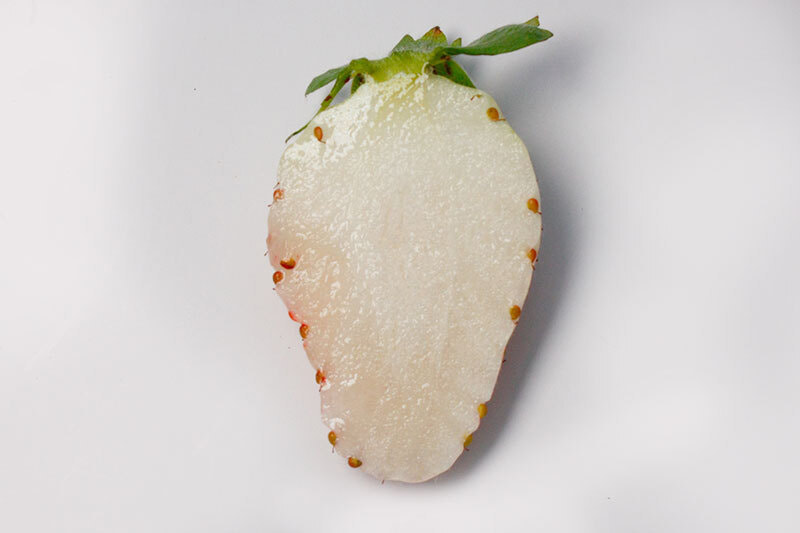 白いちご断面