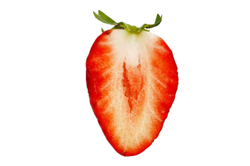 スターナイト断面